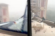 【動画】台風11号ヤバすぎワロタ。タワマンのバルコニーを吹き飛ばしてしまう。