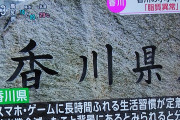 【悲報】香川県「スマホ・ゲームのせいで子供が脂質異常になった」