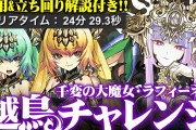 【パズドラ】制限時間10分残し！裏多次元もしかしてラフィーネゲーじゃねえか？【越鳥チャレンジ】