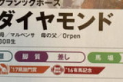 【競馬】トウカイテイオー、2016年菊花賞をレコードＶ！