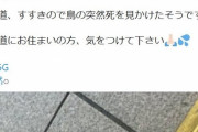 【危険！】5G、野鳥を突然死させていた！！！
