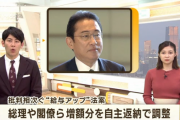 日本国民の為に率先して自分の賃上げ３０万円の岸田総理　３０万円を自主返納する事を検討開始
