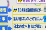 【悲画像】ウクライナ避難民「日本の食べ物は味が薄くてまずい」