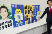 国民民主党「政策がある」