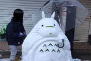 外国人が選んだ最高の雪だるまデザイン　日本からもトトロだるまがランクイン！