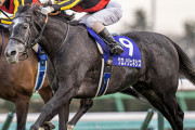 有馬記念でガチで勝てる馬を教えてくれ。人生逆転をねらう。 |  第50回有馬記念で親の遺産全額約5000万をディープインパクトの単勝にぶっ込んだ奴がいてな