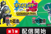 ポケモン剣盾DLC第1弾「鎧の孤島」が神ゲーだった件