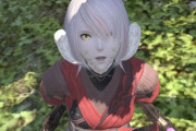 【FF14】とあるプレイヤーさん「忍者に似てるヒーラーっていませんか？」光の戦士さん「忍者やれよ」