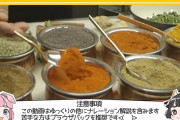 インドカレー屋行ったらネパール人が経営しててワロタｗｗｗ