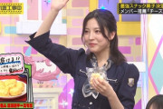 【乃木坂46】早川聖来推薦 実況『最強スナックチーズ味編』衝撃の口溶け。ふんわり名人北海道チーズもち【乃木坂工事中】