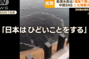 【画像】中国、日本のフェイクニュースを拡散「日本はひどいことをする」、福島で黒い水(メキシコ)、変異した魚を釣り上げ等