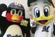 日本のプロ野球って鳥モチーフのチームが多すぎじゃね？