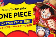 【ワンピ】ルフィは止められない、そうなってくるとアレの奪い合いになりますね