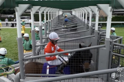 レッドモンレーヴ上がり最速定期　他