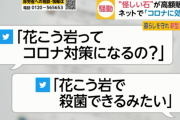 詐欺師「コロナに石ころが効くぞ」 日本人「うおおおお5000円で買うぞおおお」
