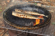 江戸時代に美味しい食べ物は焼き魚しかなかったｗｗｗｗｗｗｗｗ