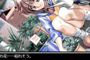 【悲報】昔のエ〇ゲ、今やると切なすぎる