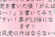 TikToker、一発アウトな選挙違反をやらかしてしまう