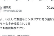 【悲報】トー横キッズ、友達がカンボジアに売り飛ばされる