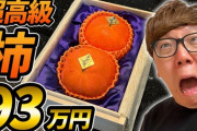 【狂気】HIKAKINさん、100万円の"柿"を購入してしまう…これもはや騙されてるやろ