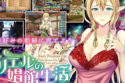 【同人ゲーム】アリエルの娼館生活【3月20日まとめ】