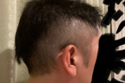 【画像】セルフバリカンで刈り上げたんだけどヤリ過ぎた