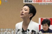 【立憲共産党】東京都知事選に国籍不明の蓮舫が出馬した事で東京都民の目が覚めるｗｗｗｗｗｗｗｗｗｗｗｗｗｗｗｗｗ