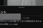 ガチで恥ずかしすぎる「いいねの数1つ×1時間◯◯する」系のいいね乞食、見つかるｗｗｗｗｗ