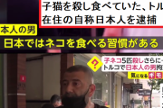 河野太郎 「移民をどんどん増やし、永住権と日本国籍を与え、新しい日本人を作っていく」  [3/5]