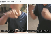 【悲報】日本人男性「クルド人ぶっ殺してやる！」クルド人父親（35）とその子どもに暴行をはたらく