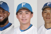 【公示】日ハムがロドリゲス、上川畑、野村を登録