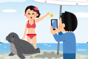 ハワイの観光客「ｷｬｰ！砂浜でアザラシが寝てる！触っちゃお」 → SNSで批判が殺到し炎上　