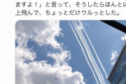 左翼「インパルス飛ばす意味ってなに？医療従事者が本当に必要なのはフリーダムでしょ」
