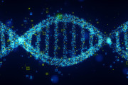 人間の全ゲノム、5Dの「メモリークリスタル」に保存　人類を絶滅から救う設計図として将来活用できる可能性　数十億年保管可能