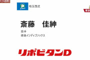 西武育成ドラ３斎藤佳紳「四国独立リーグの投手２冠王」