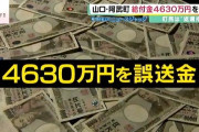 【！？】4630万の誤送金、一瞬で約4300万円を確保