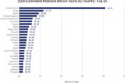 【仮想通貨】2020年にビットコインで一番儲けたのはどこの国なのか？