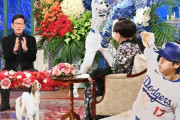 昨日の大谷翔平特集 徹子の部屋が15%wwwwww