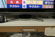 【テレ東】AIによるセ・パ順位予想wwwww