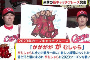 12球団のスローガン2023年版、出揃うｗｗｗｗ