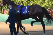 ゴリアット馬主が帰国　日本の競馬ファンに「カードデザイン協力を」呼びかけ