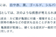 【豆知識】チンカスの色、多種多様