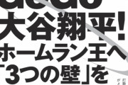 【悲報】大谷、お股ニキにロックオンされる