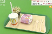 マックの紙ストローがゴミすぎて小泉進次郎炎上ｗｗｗｗｗｗｗｗｗｗｗｗｗｗｗｗｗｗｗｗｗｗ