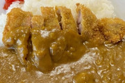 「カツカレー」←こいつを店で食べる時自分の中での適正価格