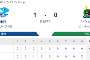 【試合結果】ヤクルト0-1中日　サイスニード6回1失点で5敗目、5安打完封負けで2連敗