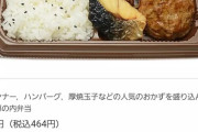 【お好み】セブンの幕の内弁当(464円)、ガチで凄いwwwwwwww（画像あり）