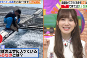 【日向坂46】加藤史帆のトンデモ解答wwww【ヒルナンデス】