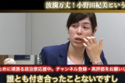 【楠木ともり民朗報】小野田紀美(43)「男性と付き合ったことがない。二次元しか興味がない」