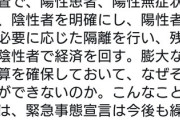 【悲報】小沢一郎「国民一斉検査。なぜそれができないのか。こんなことでは、緊急事態宣言は今後も繰り返され、全てがだめになる。 」